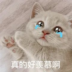 13天收入超5万，80后云南姑娘椰子酥有自己的独特见解和做法！