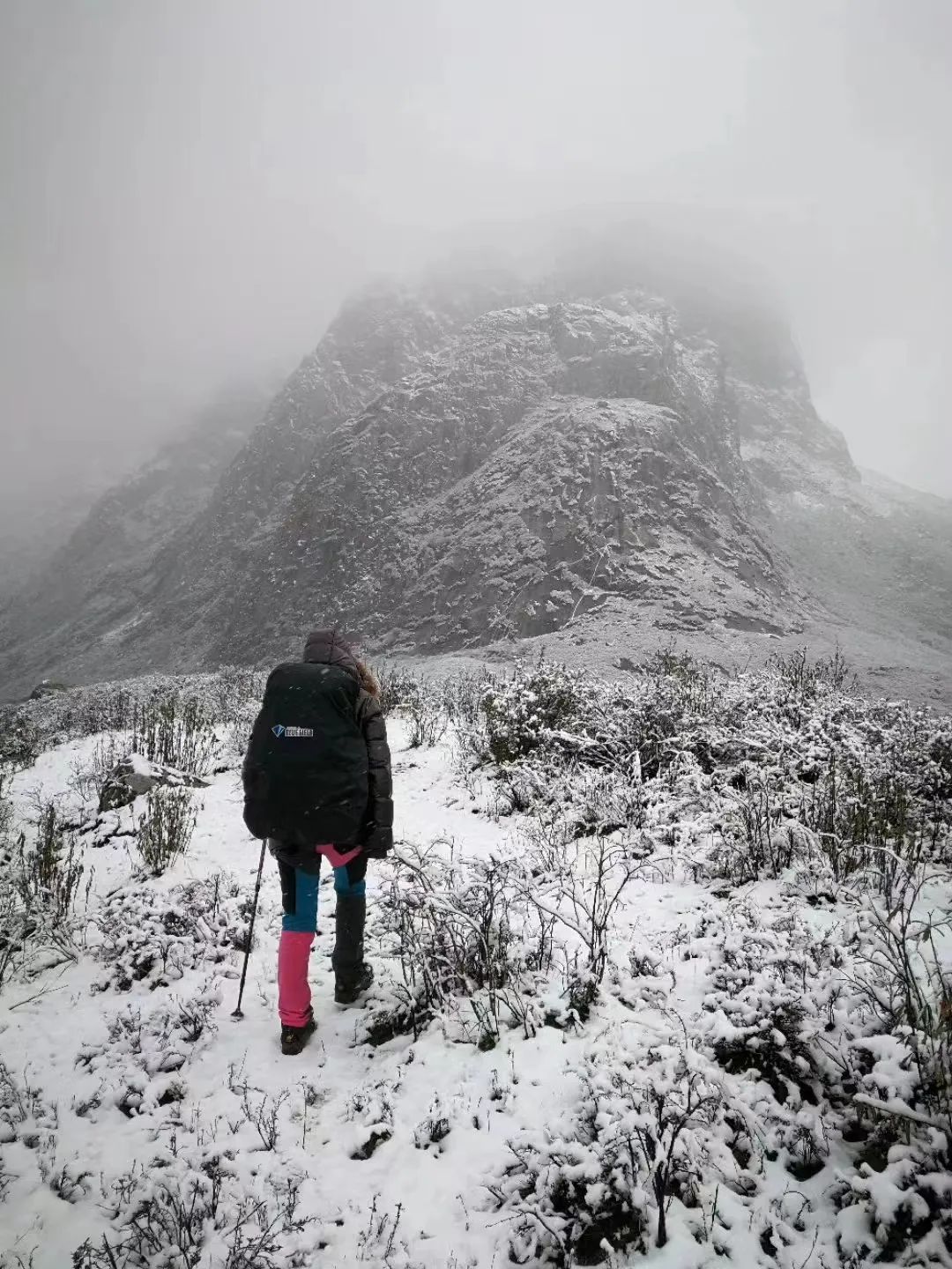 房地产副总的plan B，女强人的卖货杀手锏