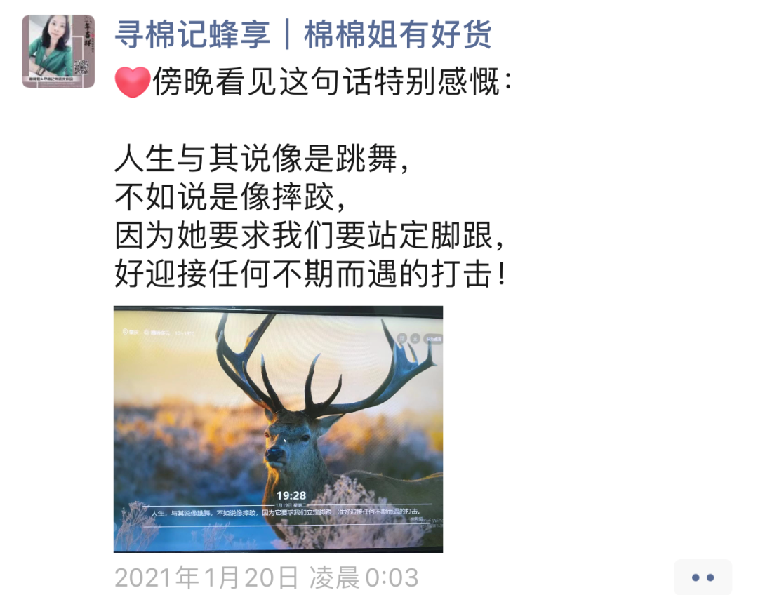 棉棉姐：选择大于努力，蜂享家是个人人可为的事业，是普通人的财富快车